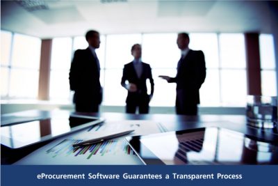 transparency-eprocurement
