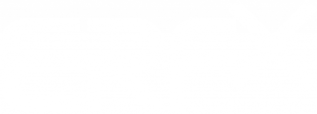 erfx logo